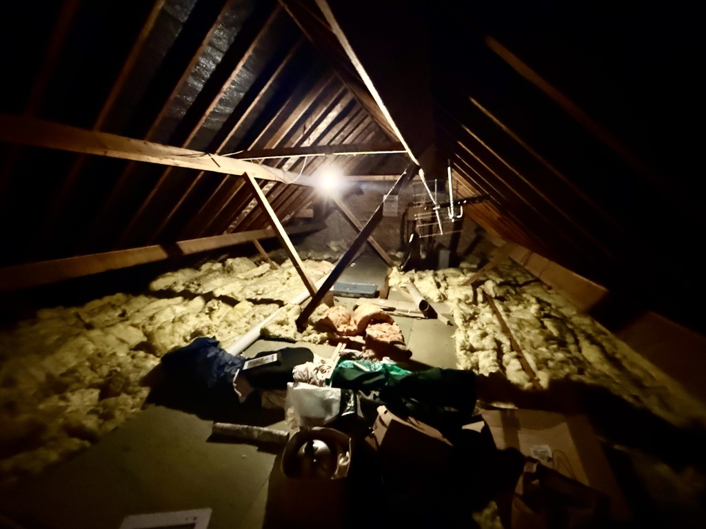 Lot: 49 - BUNGALOW FOR REPAIR AND REFURBISHMENT IN SOUGHT AFTER AREA - Attic area with potential